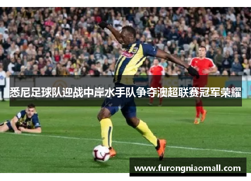 悉尼足球队迎战中岸水手队争夺澳超联赛冠军荣耀